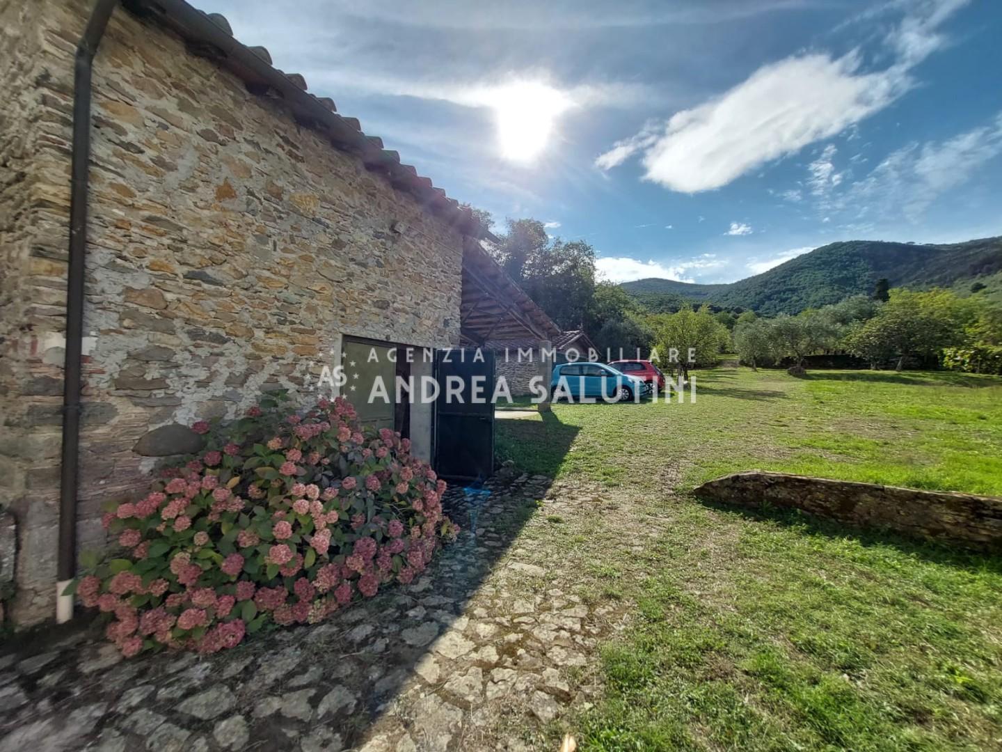 Rustico con giardino a Buti