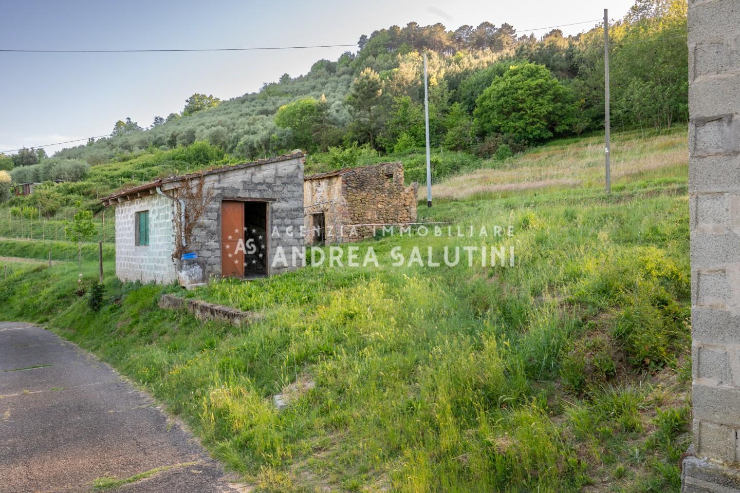 Casa indipendente con giardino a Buti