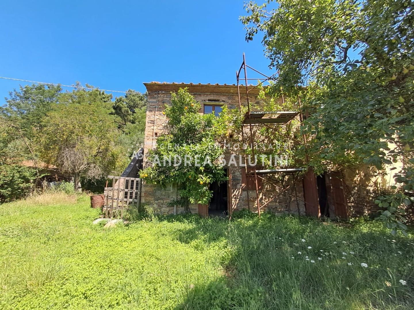 Rustico con giardino a Buti