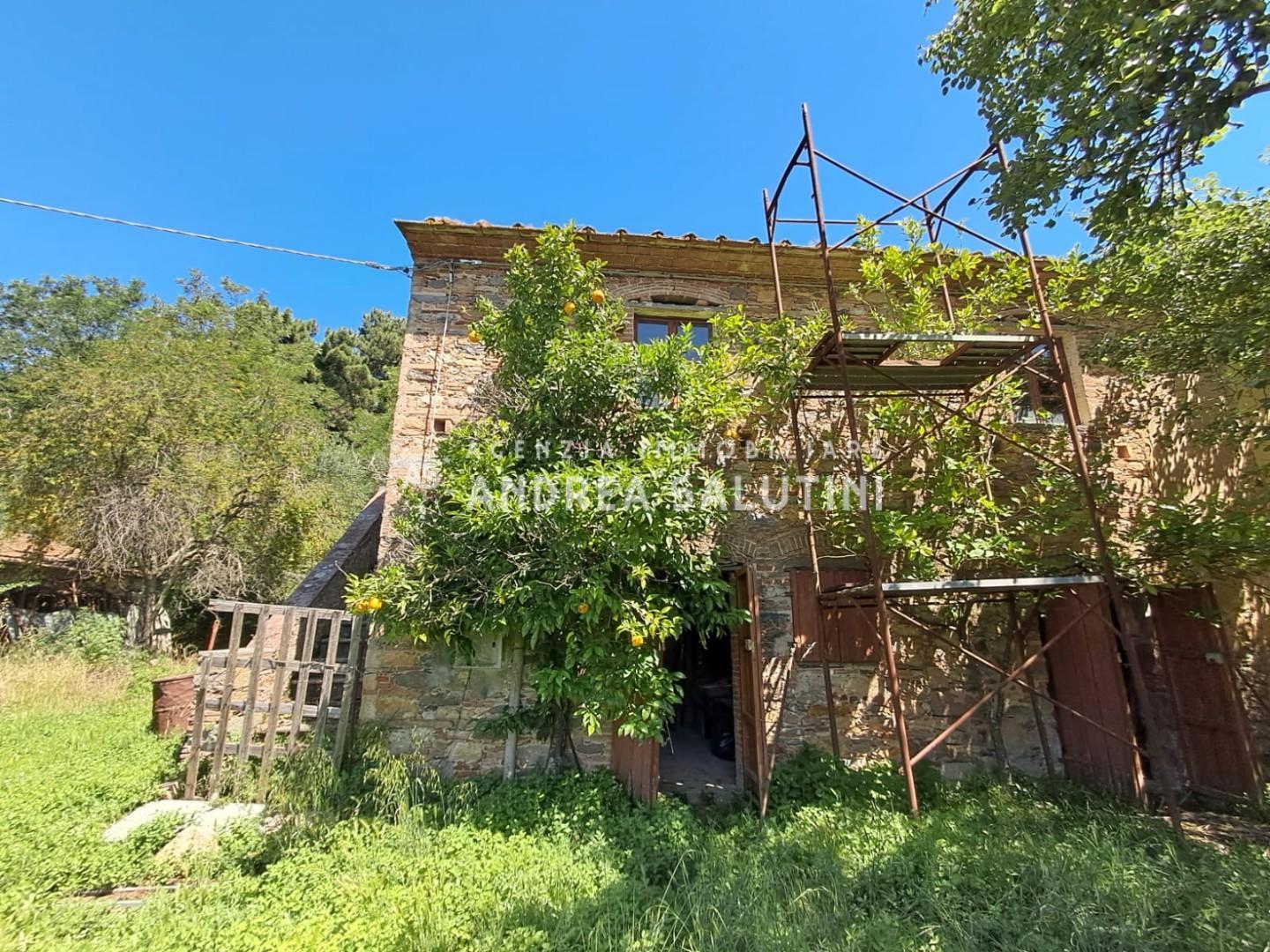 Rustico con giardino a Buti