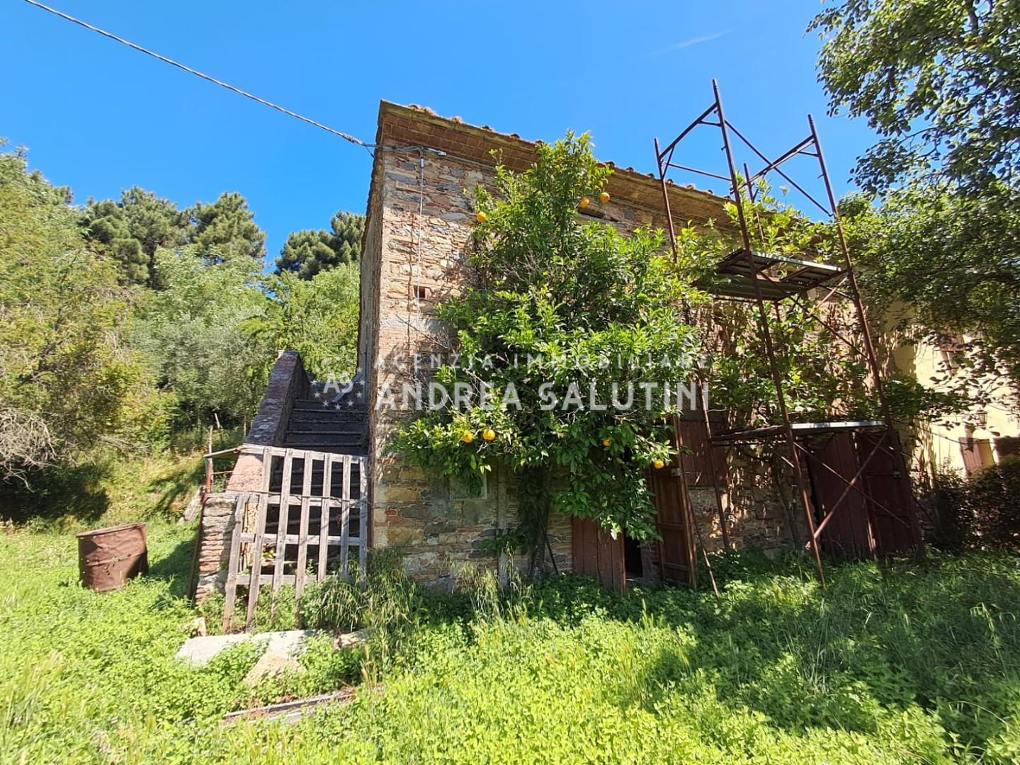 Rustico con giardino a Buti