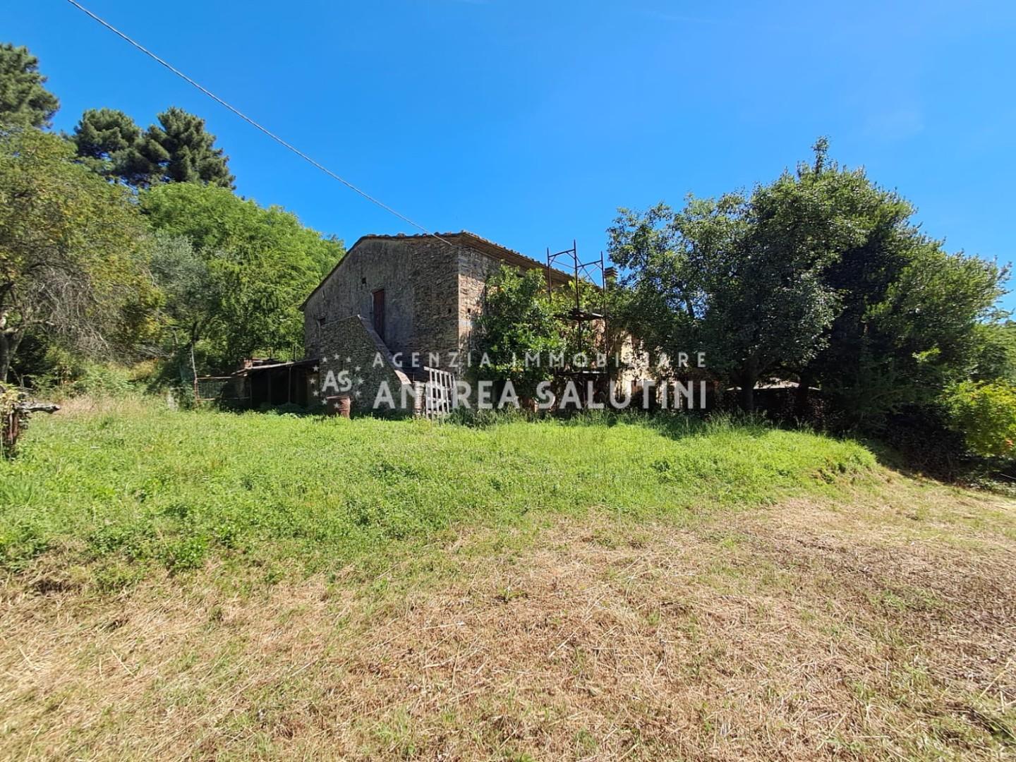 Rustico con giardino a Buti