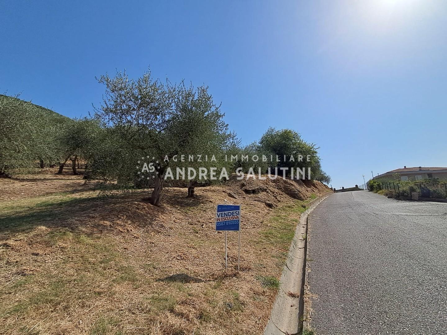 Terreno Edificabile in vendita a Buti