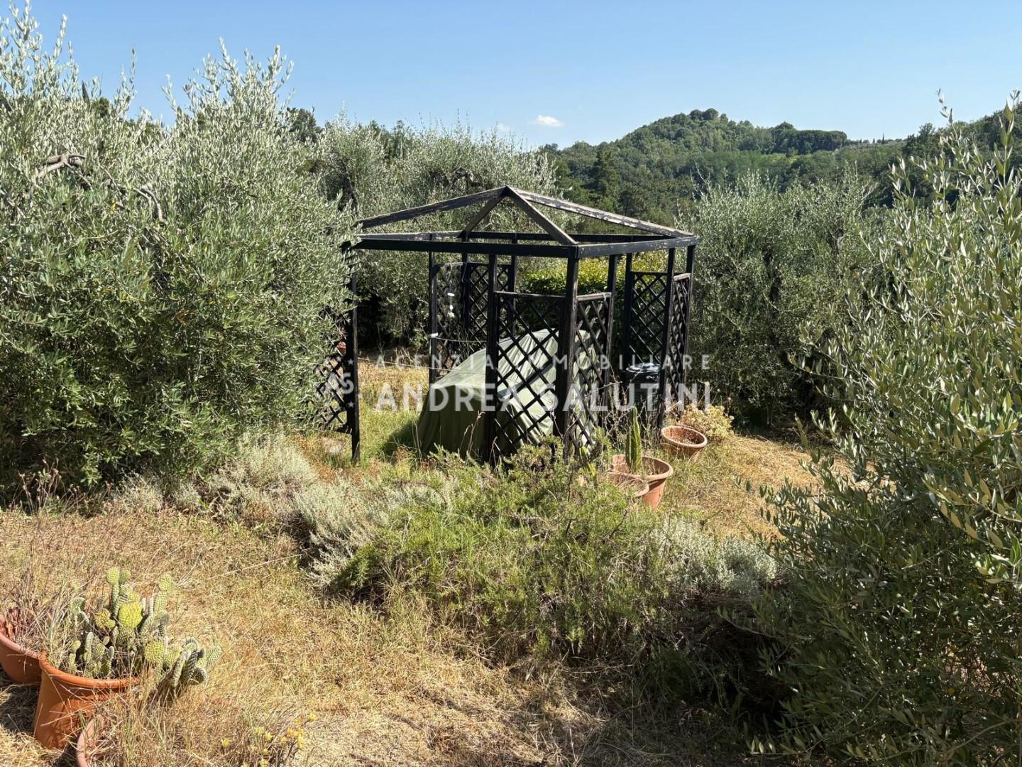 Terreno Agricolo in vendita, Pontedera montecastello
