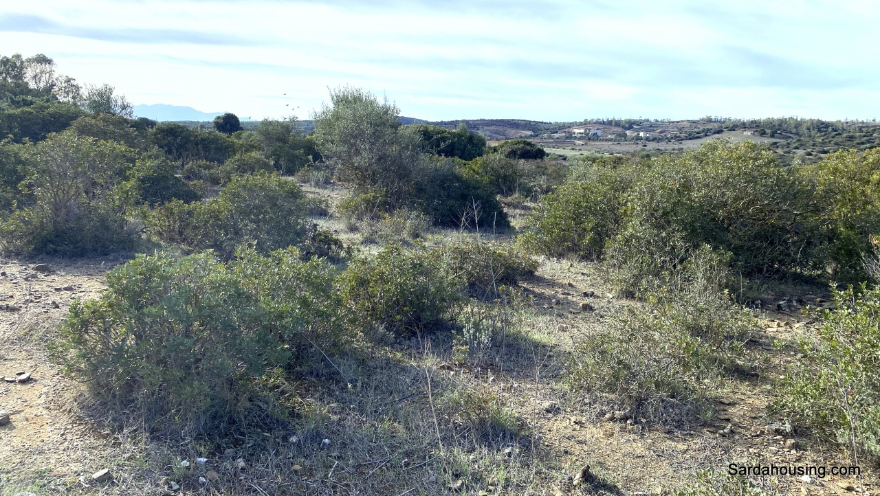 Terreno in vendita in localit maidana, Serdiana