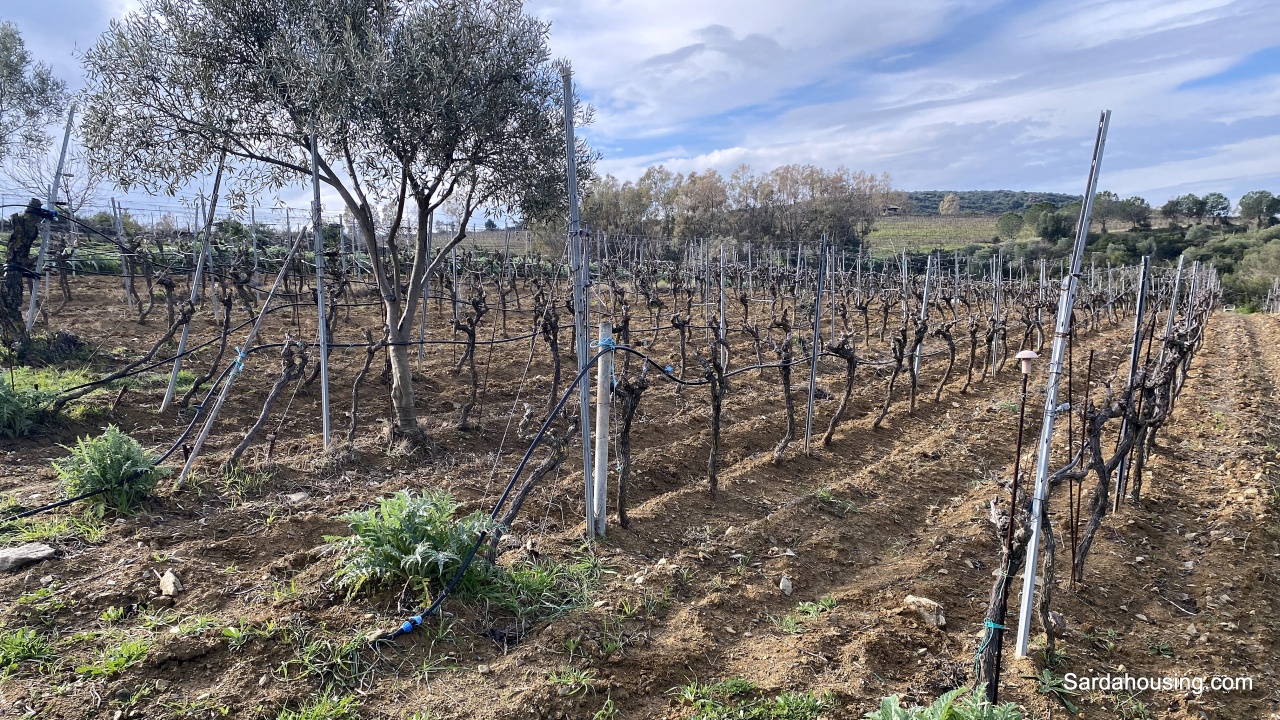 Terreno in vendita in sa misa, Soleminis