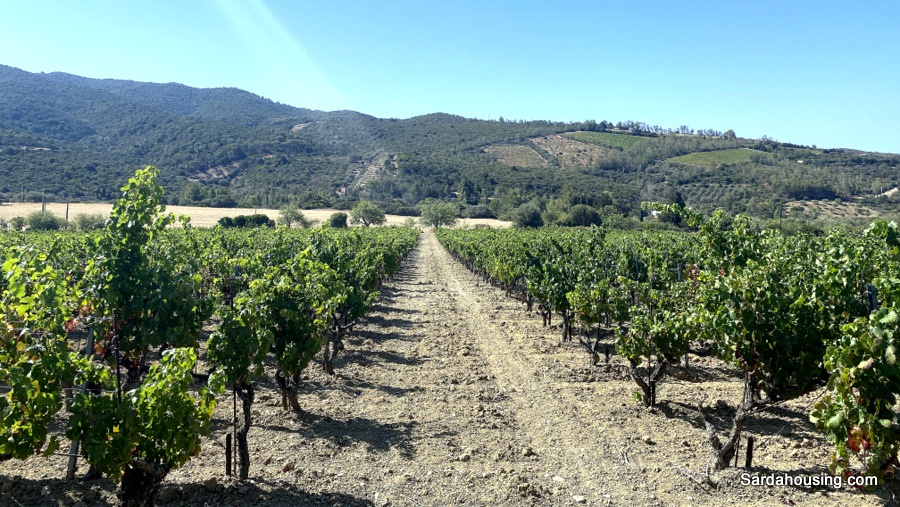 Casa indipendente con giardino in sa spinarba, Soleminis