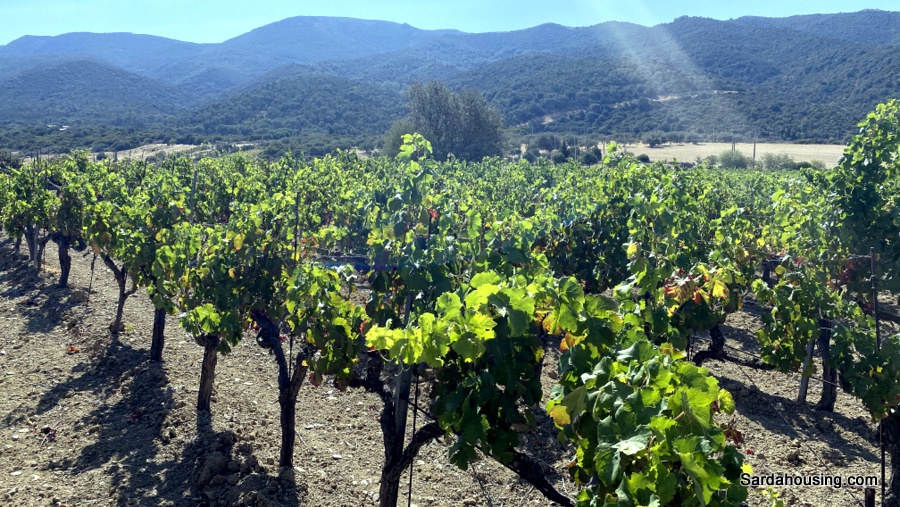Casa indipendente con giardino in sa spinarba, Soleminis