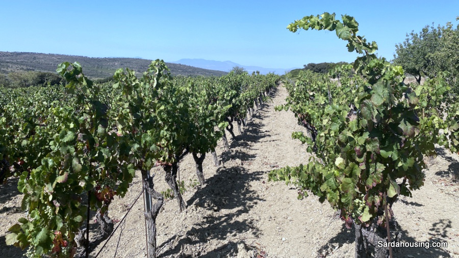 Casa indipendente con giardino in sa spinarba, Soleminis