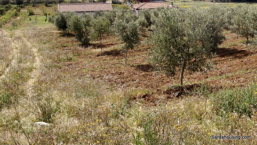 Casa indipendente con giardino in donori campagna, Donori
