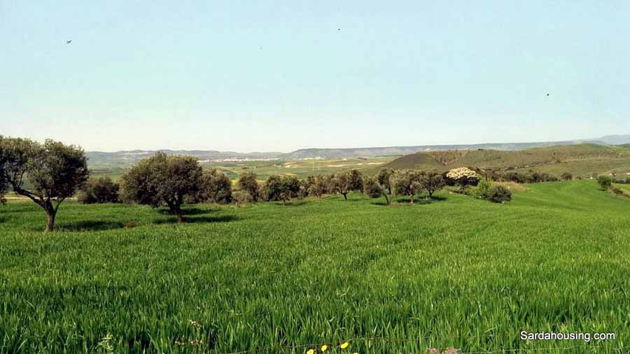 Terreno in vendita in villanovafranca, Villanovafranca