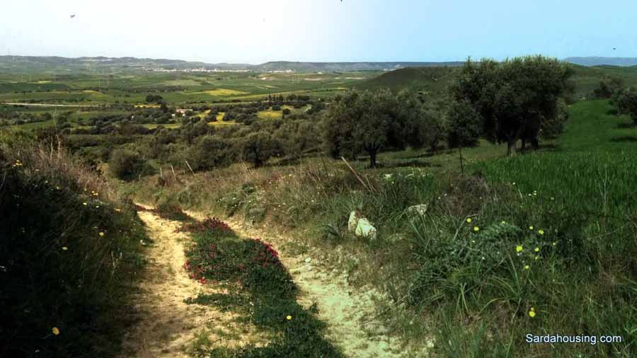 Terreno in vendita in villanovafranca, Villanovafranca