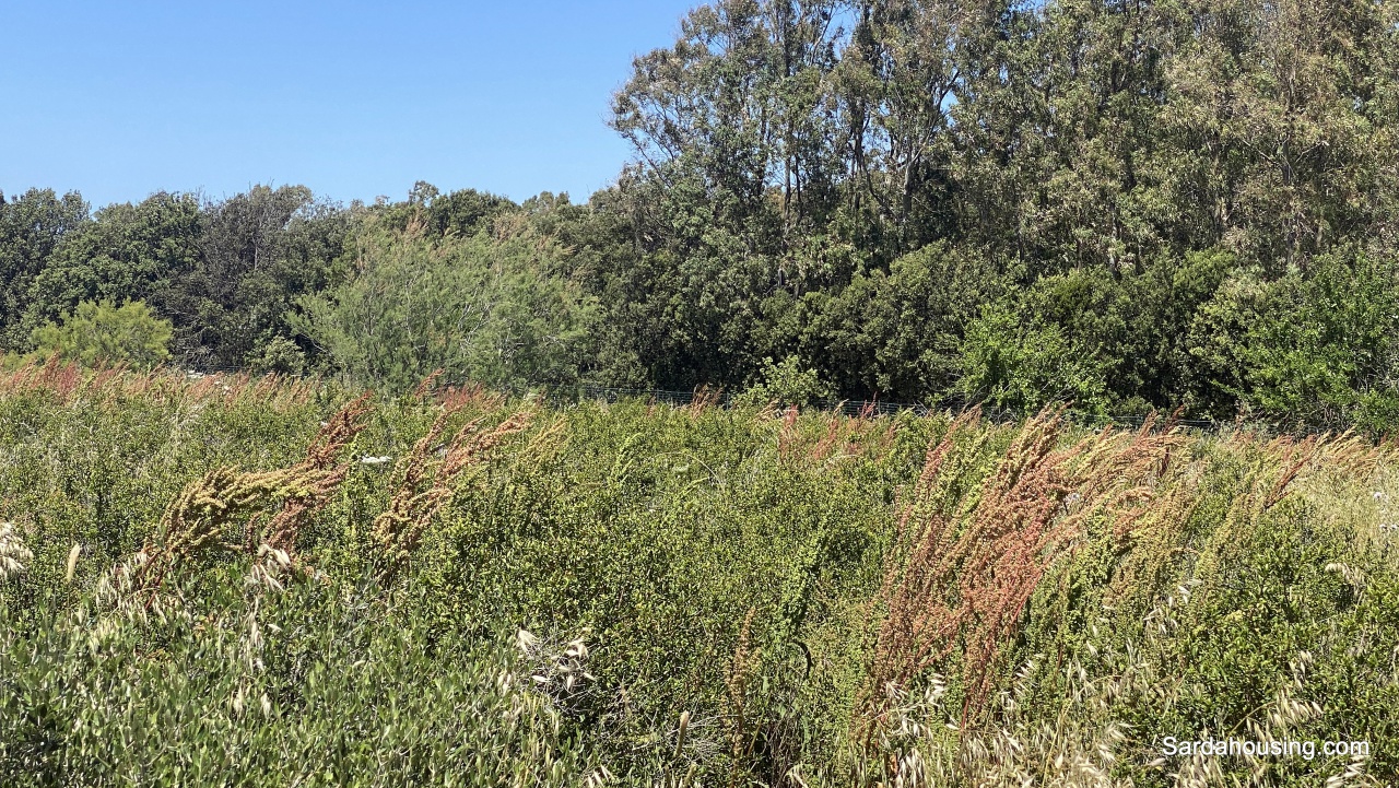 Rustico con giardino in monte gonella, Oristano
