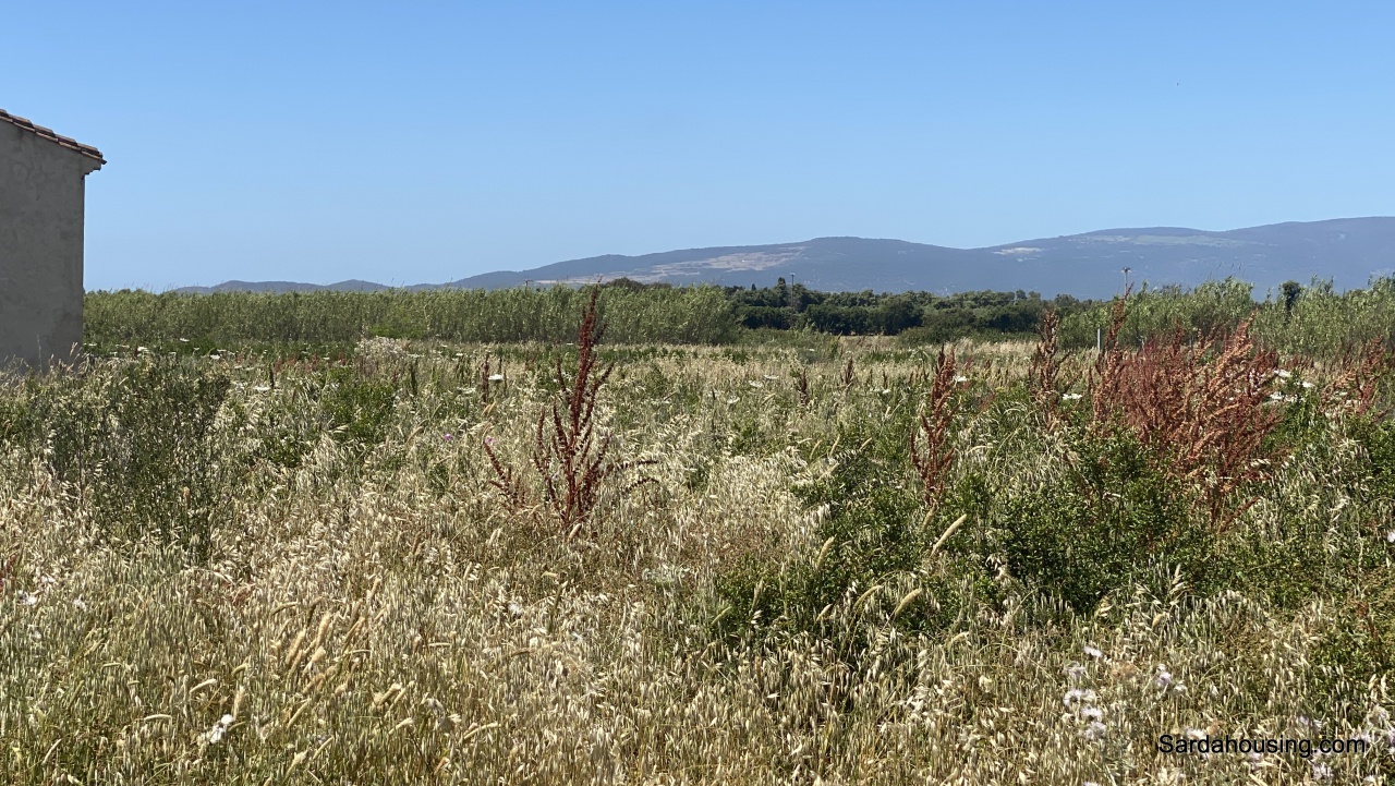 Rustico con giardino in monte gonella, Oristano