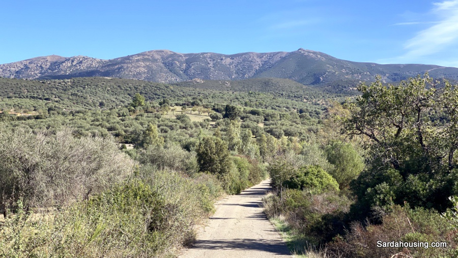 Terreno in vendita in sa tiria - strada comunale montana, Dolianova