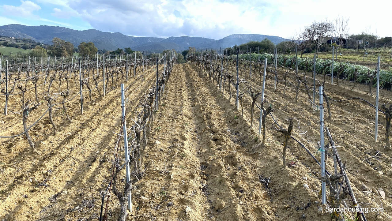 Terreno in vendita in sa misa, Soleminis
