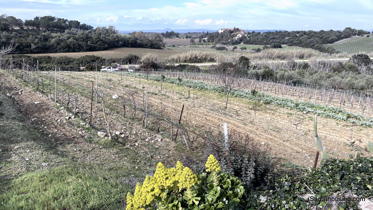Terreno in vendita in sa misa, Soleminis