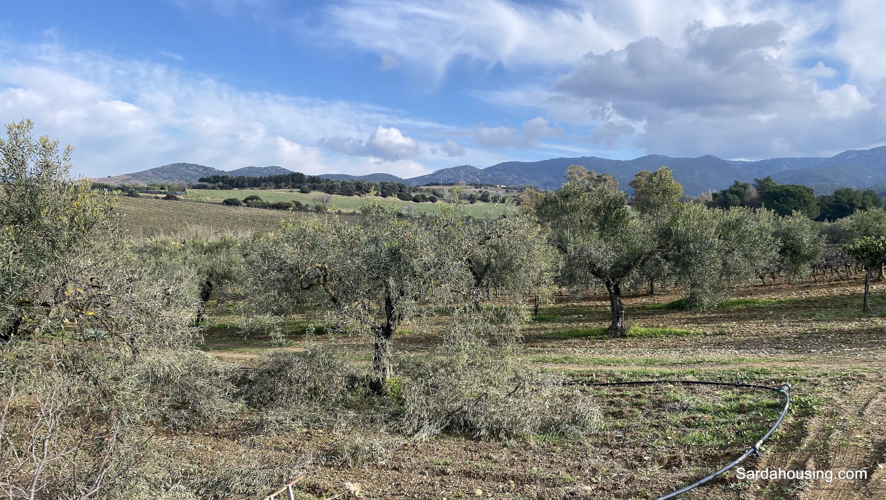 Terreno in vendita in sa misa, Soleminis