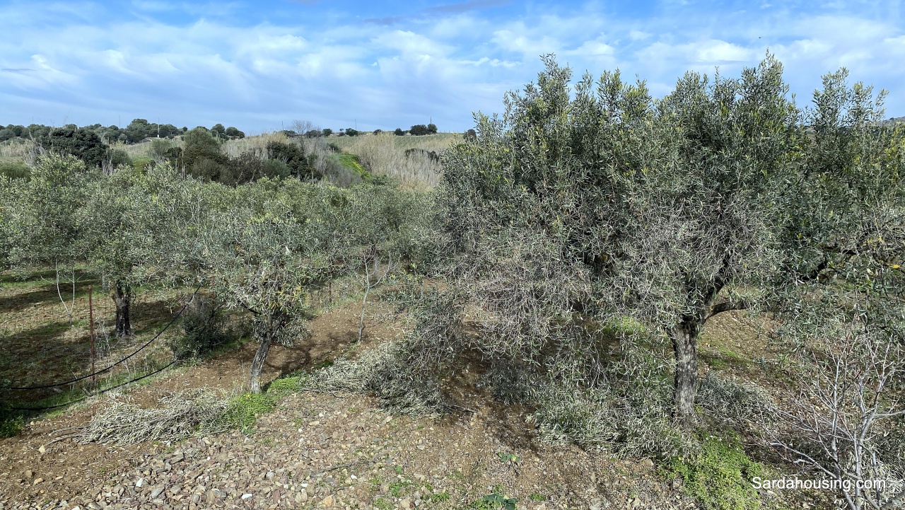 Terreno in vendita in sa misa, Soleminis
