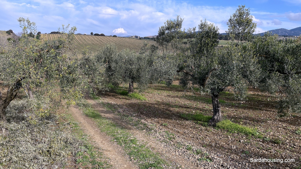 Terreno in vendita in sa misa, Soleminis