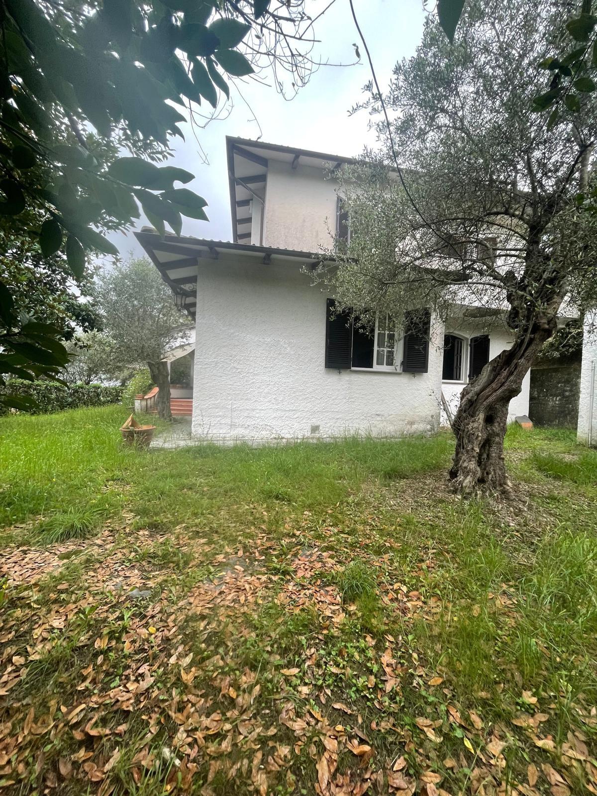 Villa con giardino, Carrara monteverde