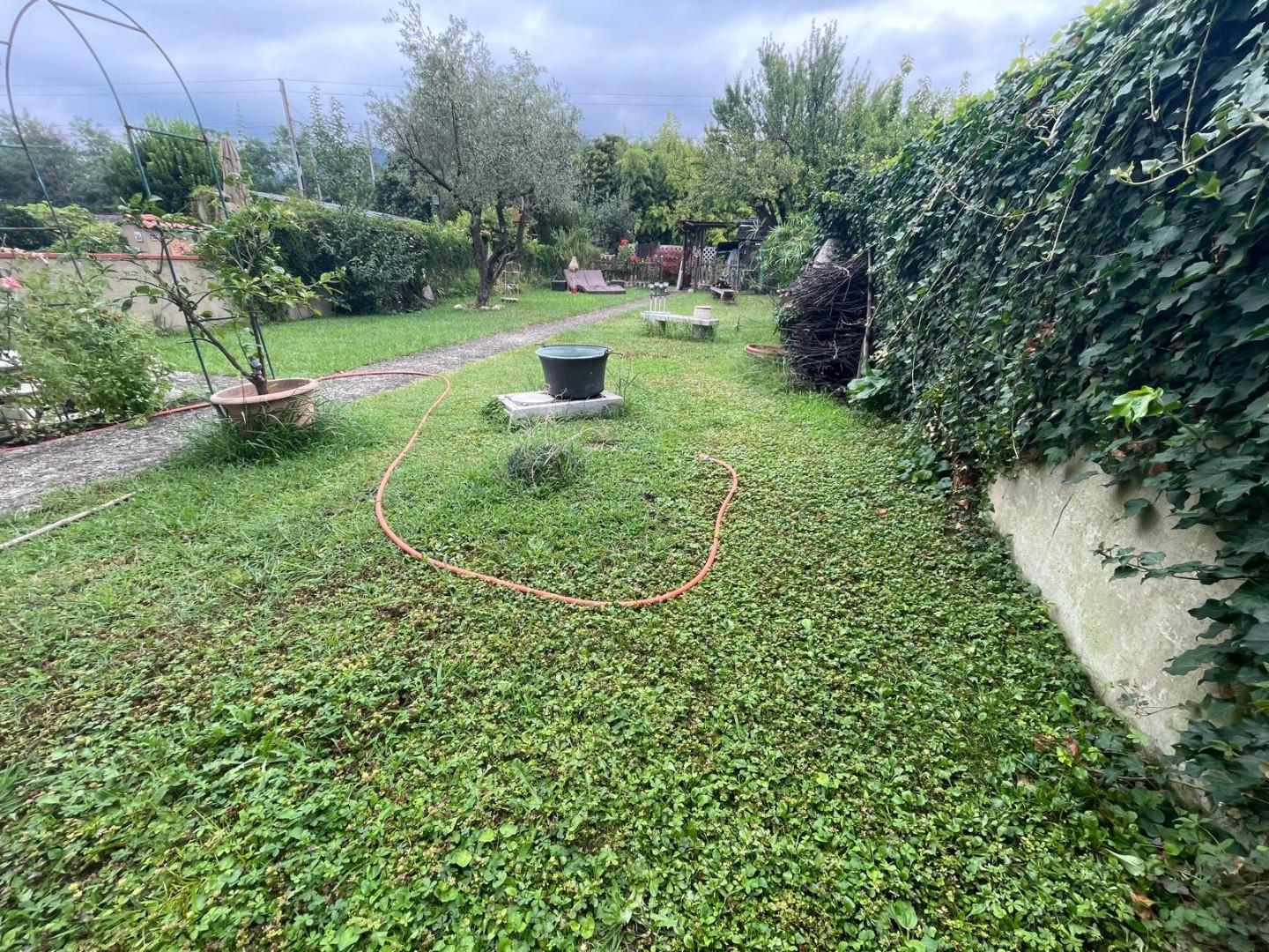 immagine annuncio 4 di 6