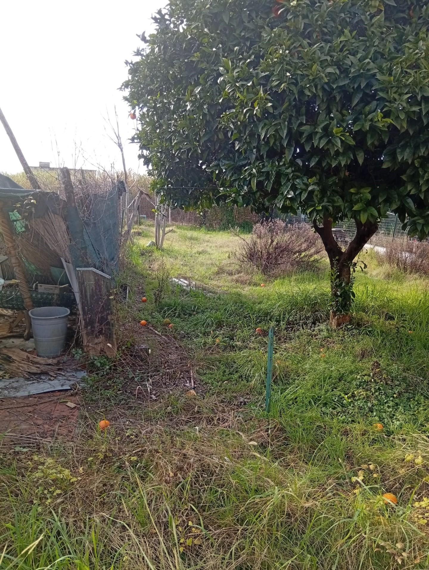 Casa indipendente con giardino, Carrara avenza
