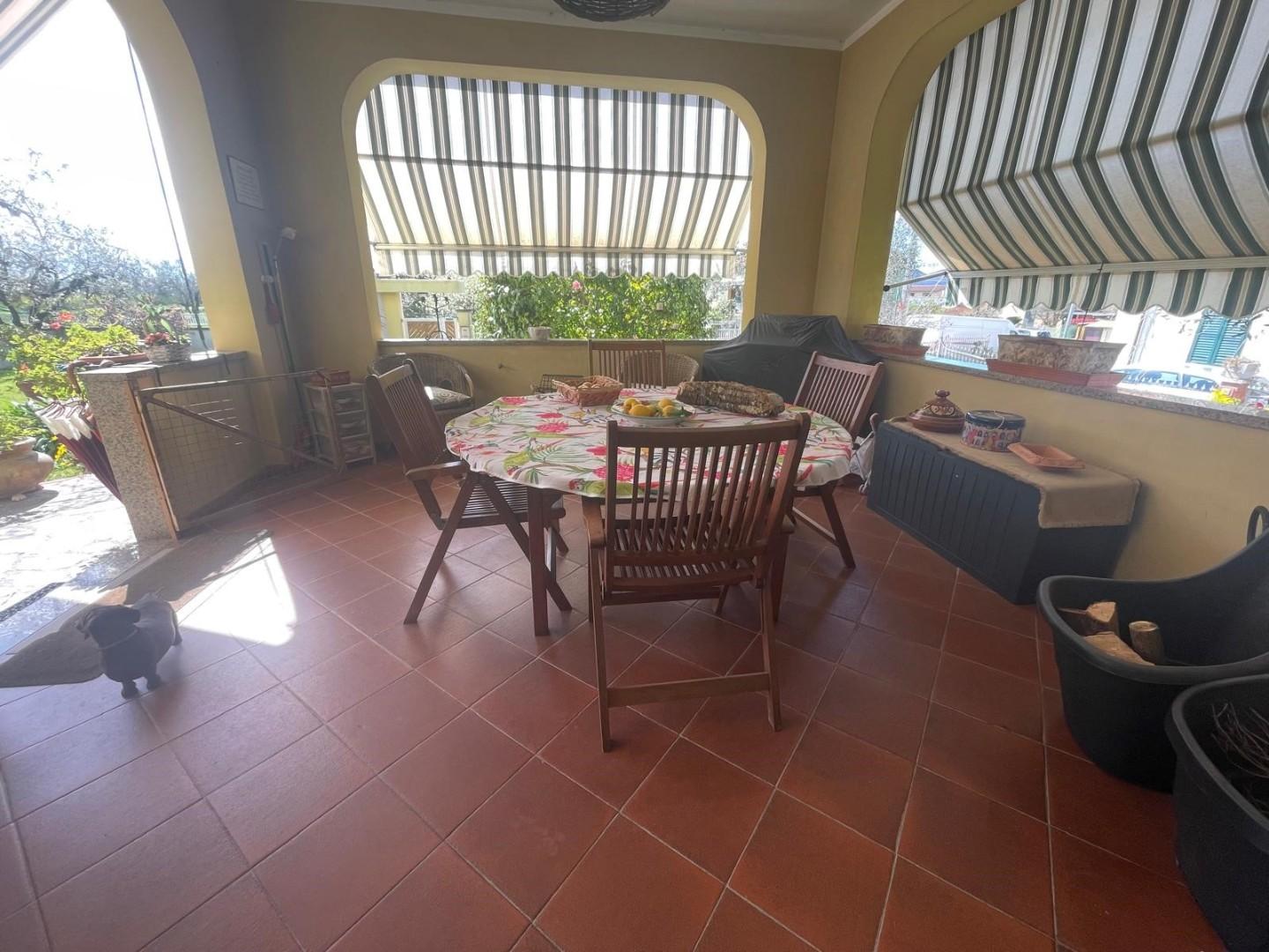 immagine annuncio 2 di 6