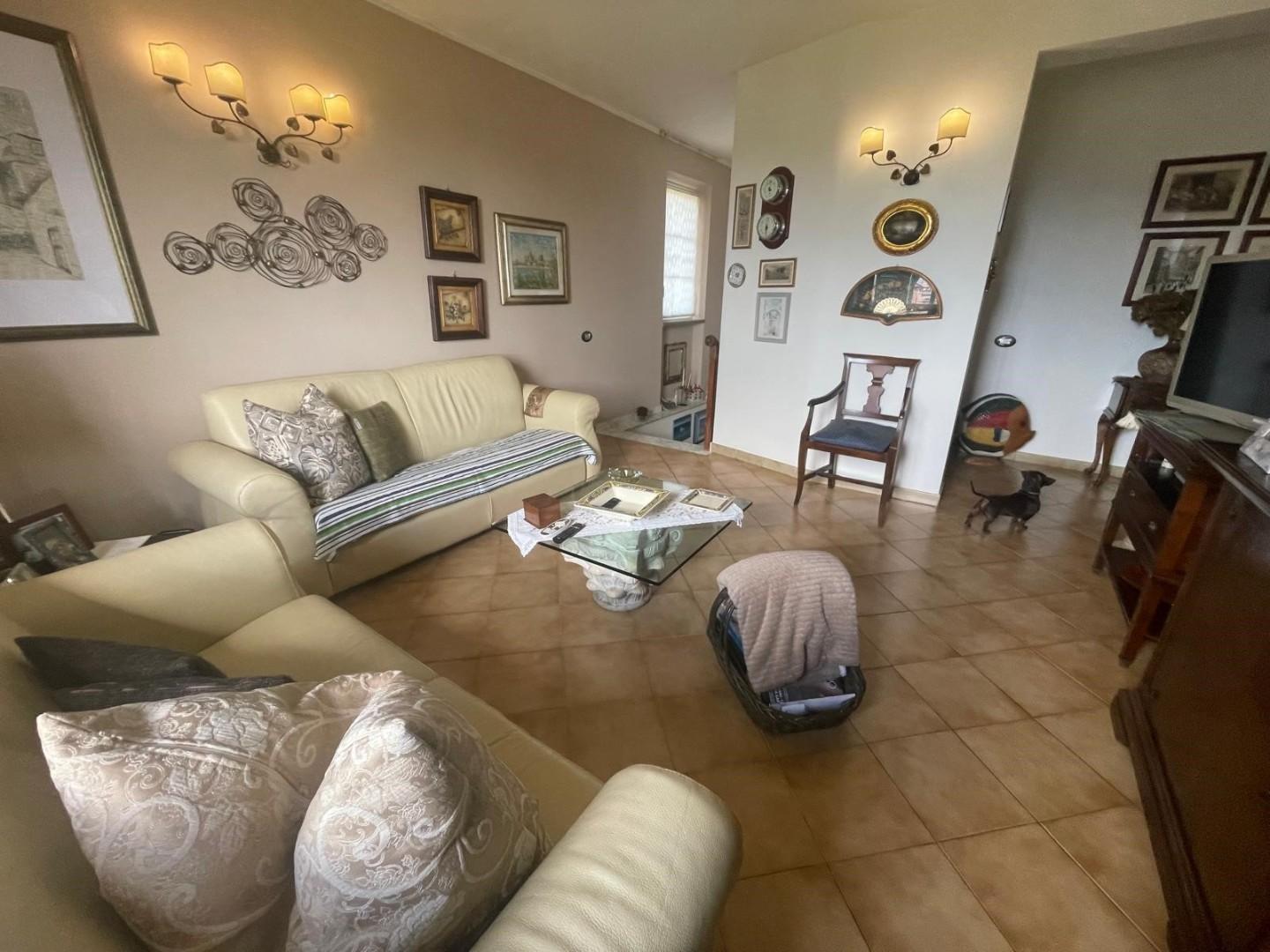 immagine annuncio 3 di 6