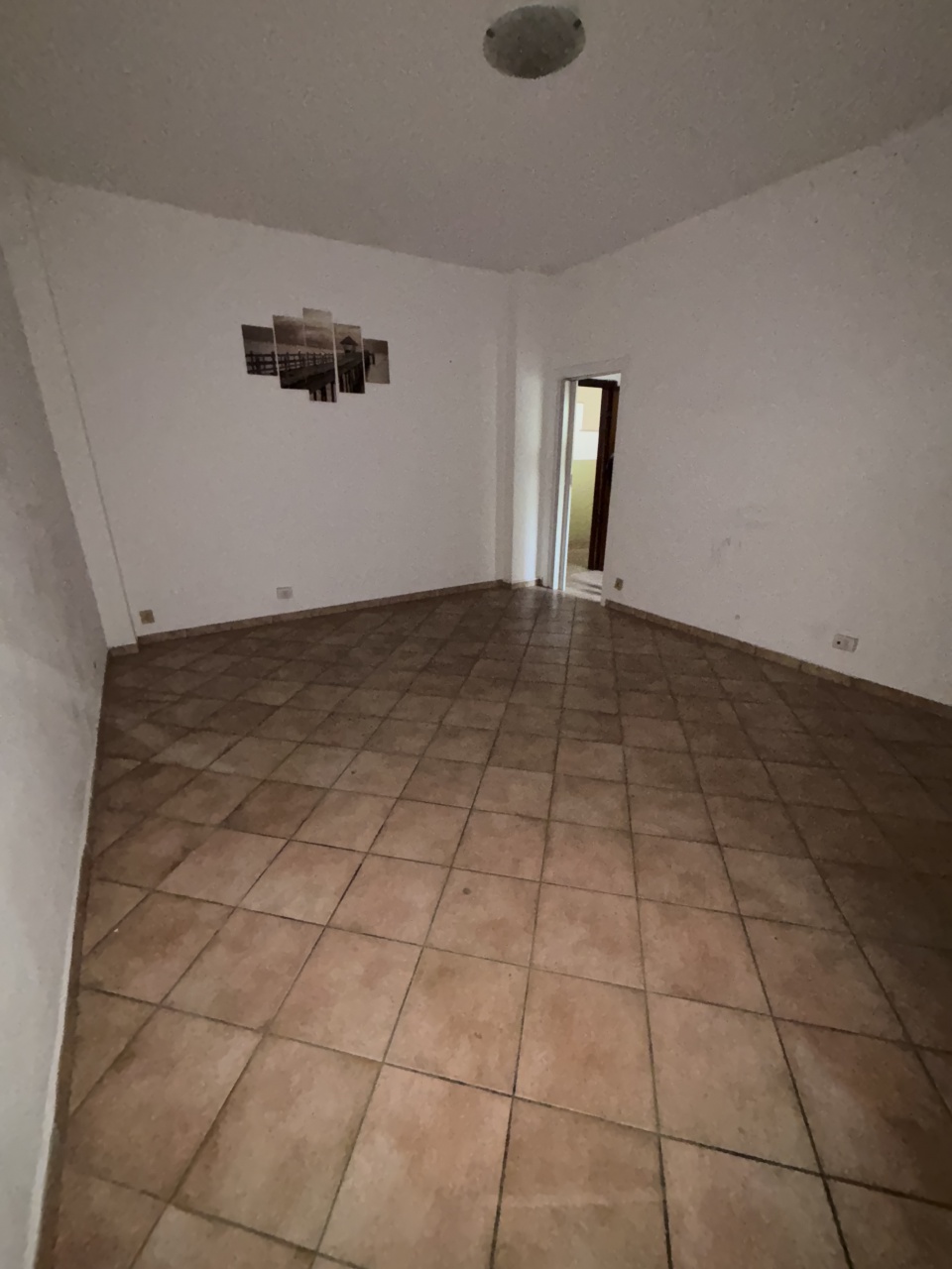 Negozio in affitto a Pavia