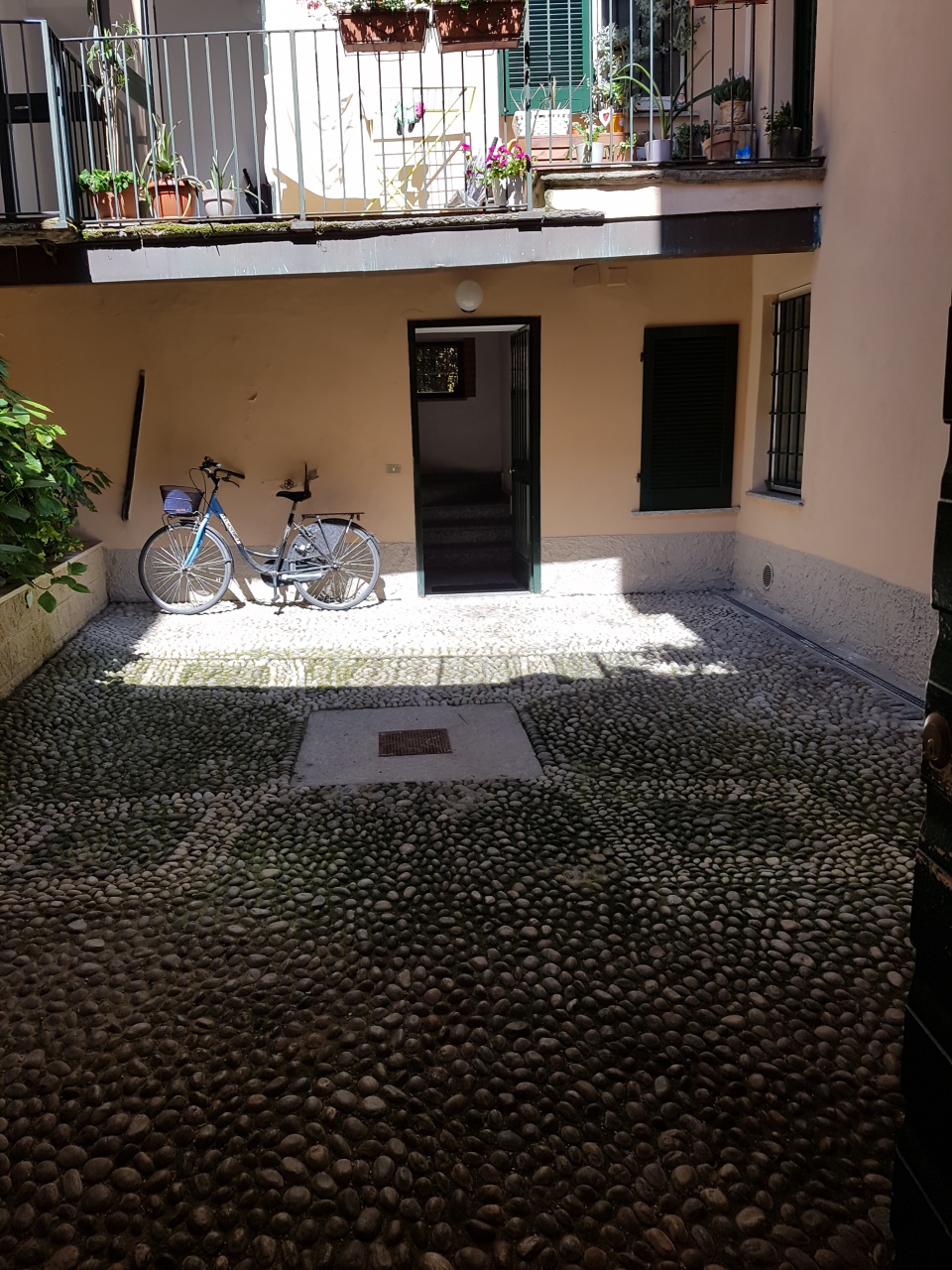 Bilocale in affitto a Pavia