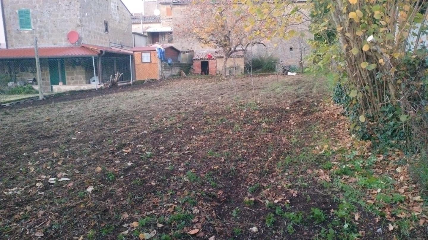 Villa Bifamiliare con giardino, Sorano san quirico