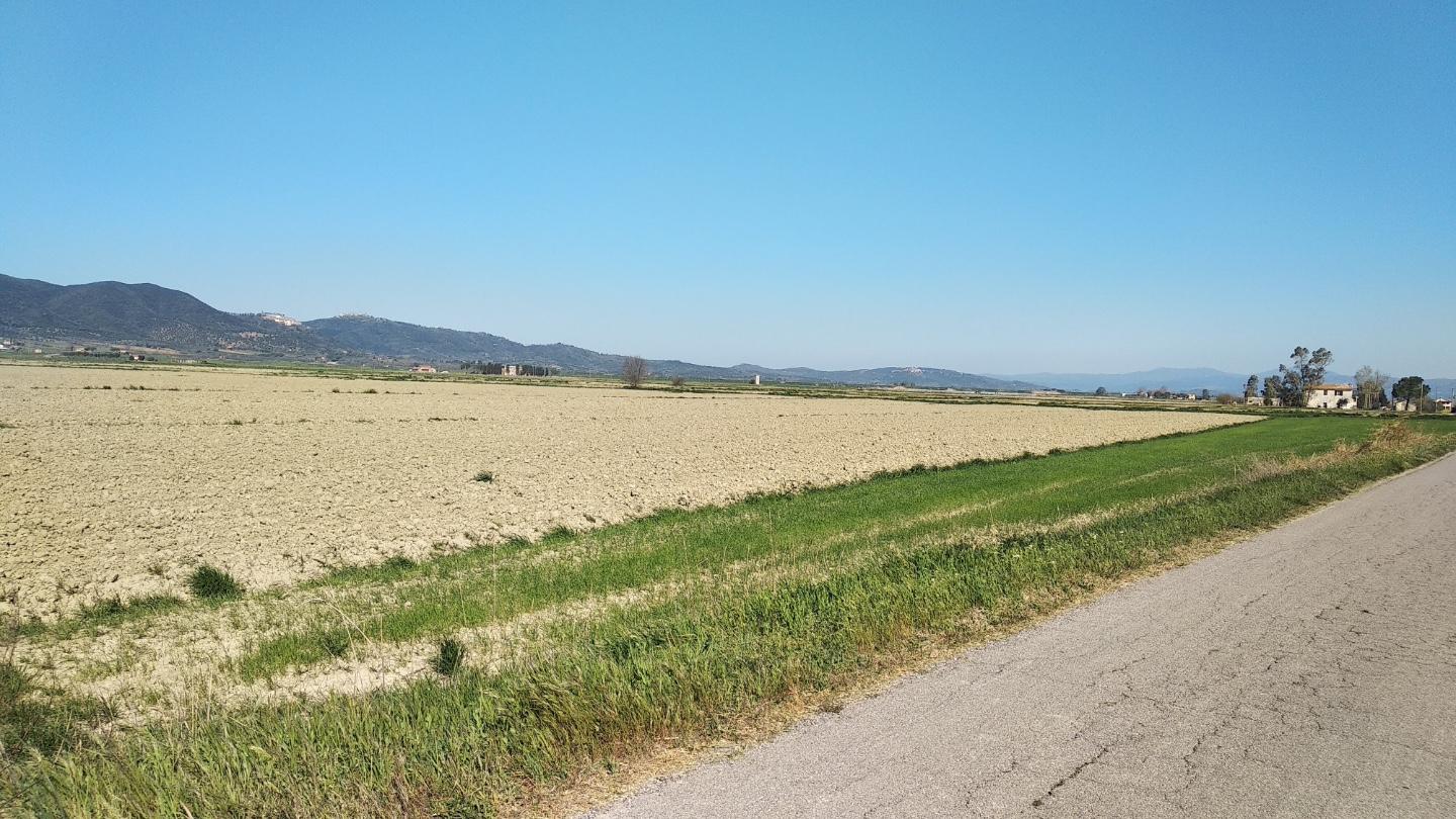 Terreno Edificabile in vendita, Grosseto barbaruta