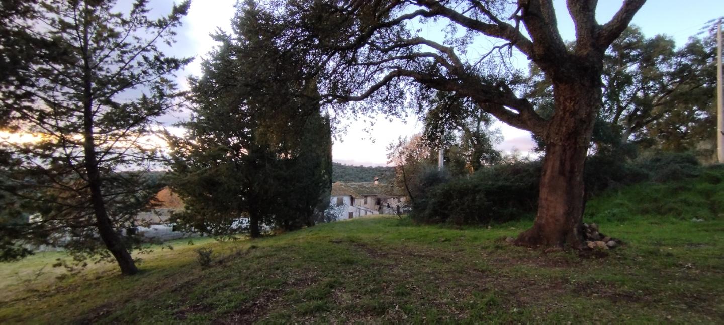 Terreno Agricolo in vendita a Roccastrada