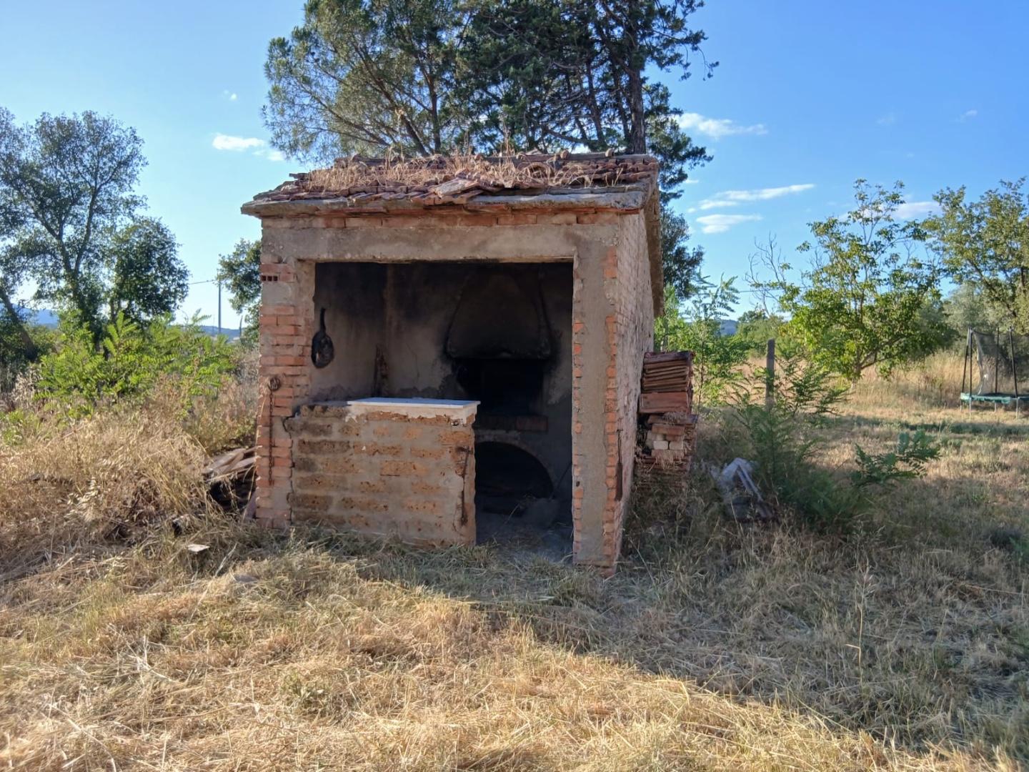 Attivit� commerciale in vendita a Cinigiano