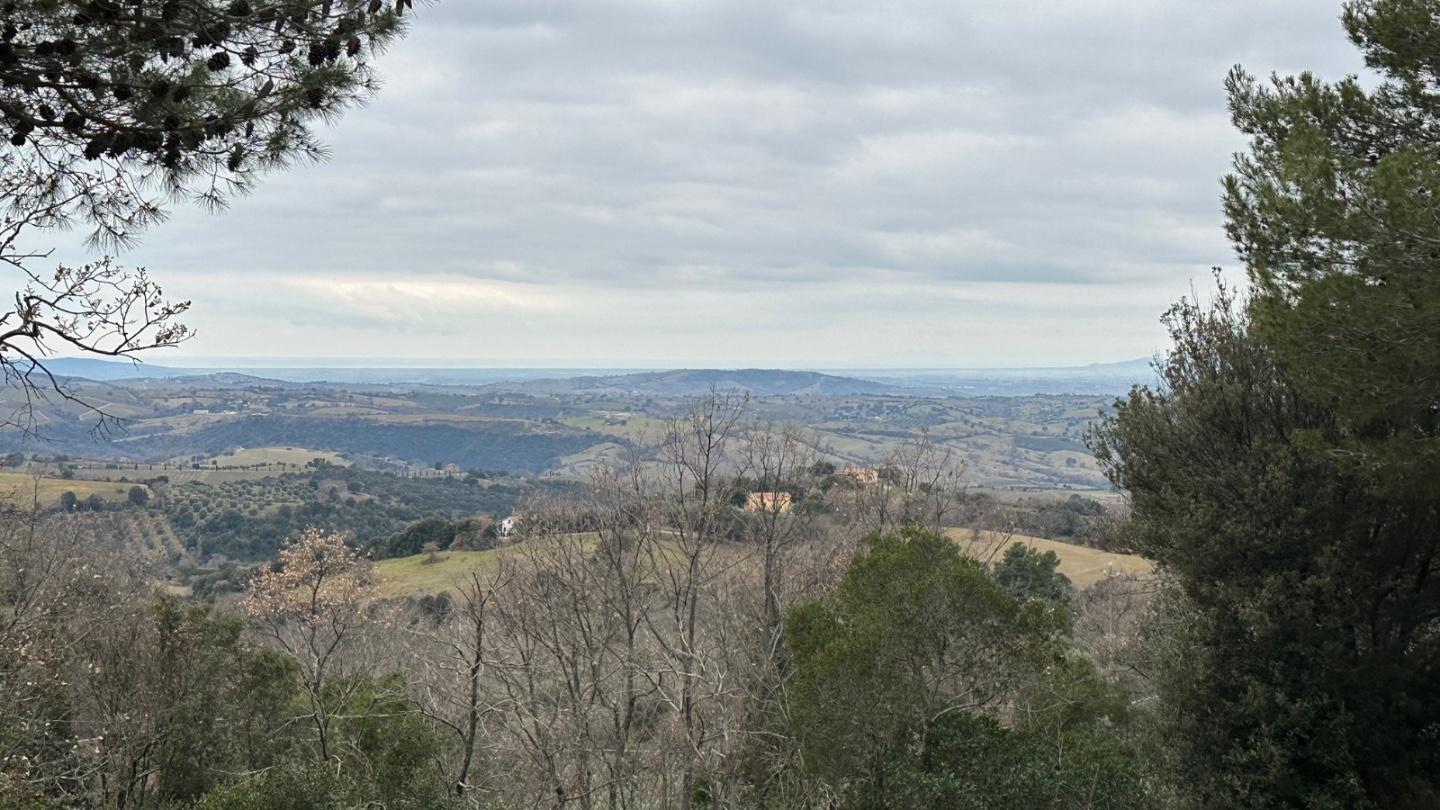 Terreno Agricolo in vendita, Scansano montorgiali