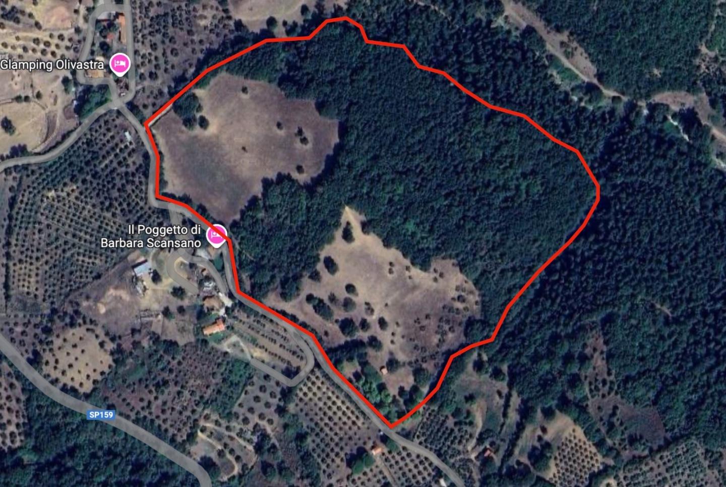 Terreno Agricolo in vendita, Scansano montorgiali