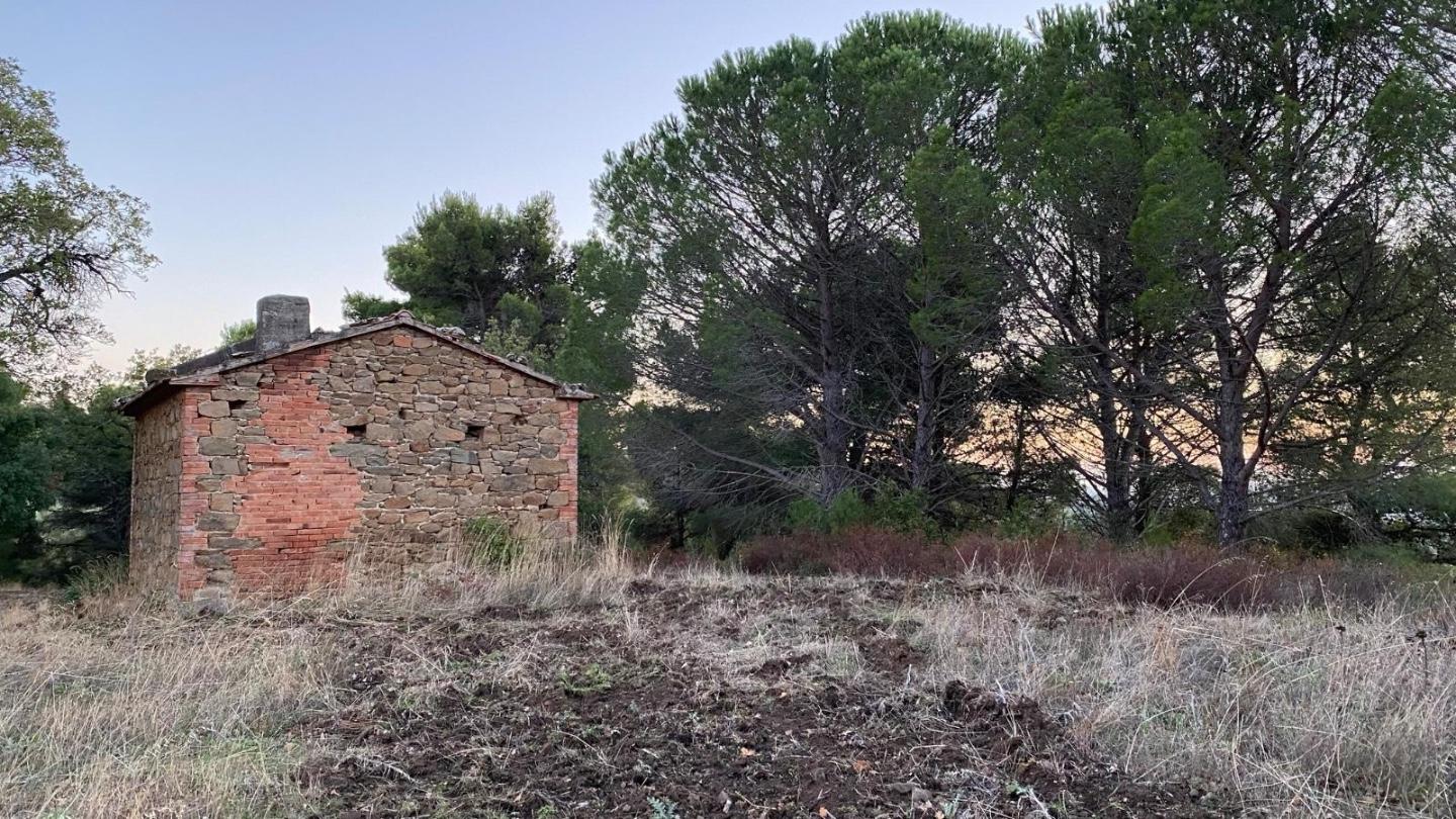 Terreno Agricolo in vendita, Scansano montorgiali