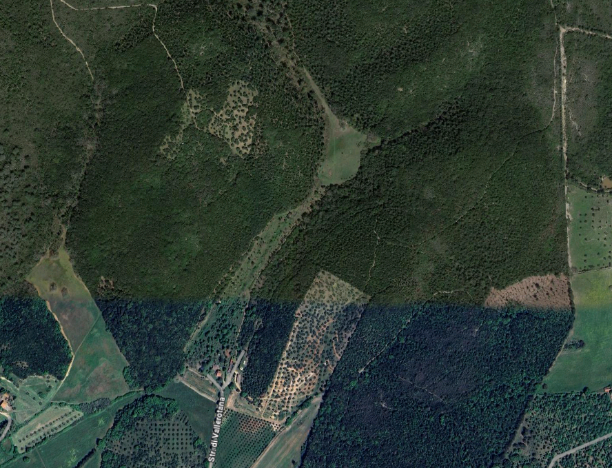 Terreno Agricolo in vendita a Grosseto