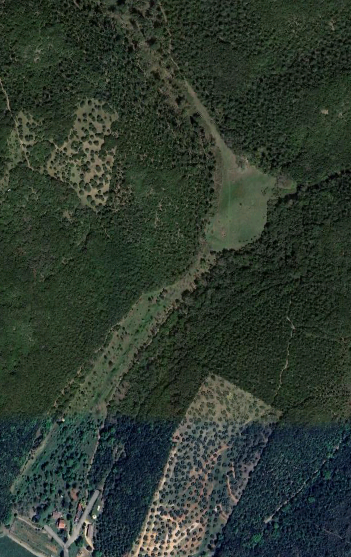 Terreno Agricolo in vendita a Grosseto