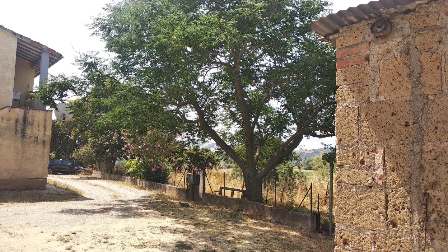 Attivit� commerciale in vendita, Grosseto istia d'ombrone