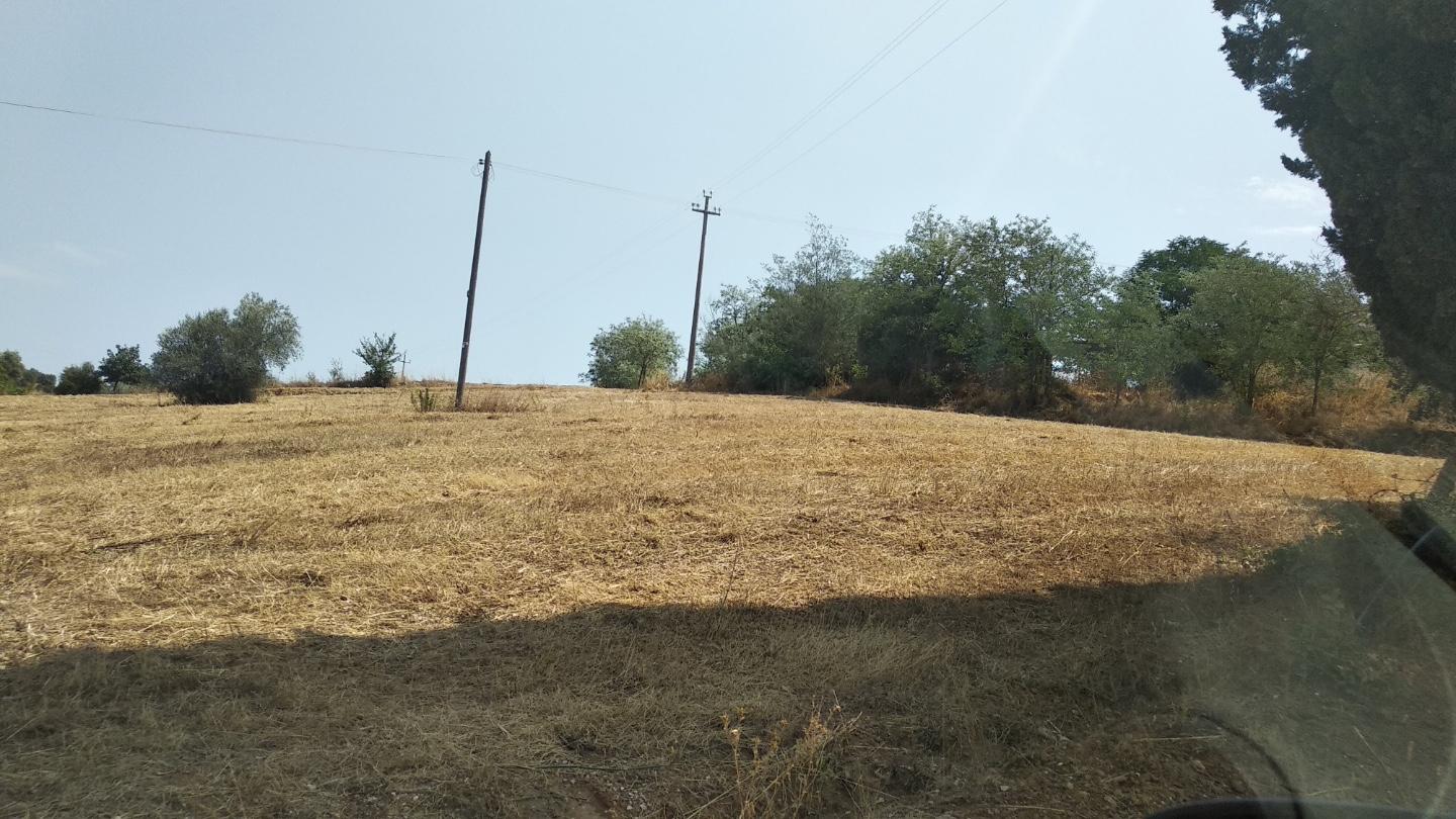 Attivit� commerciale in vendita, Grosseto istia d'ombrone