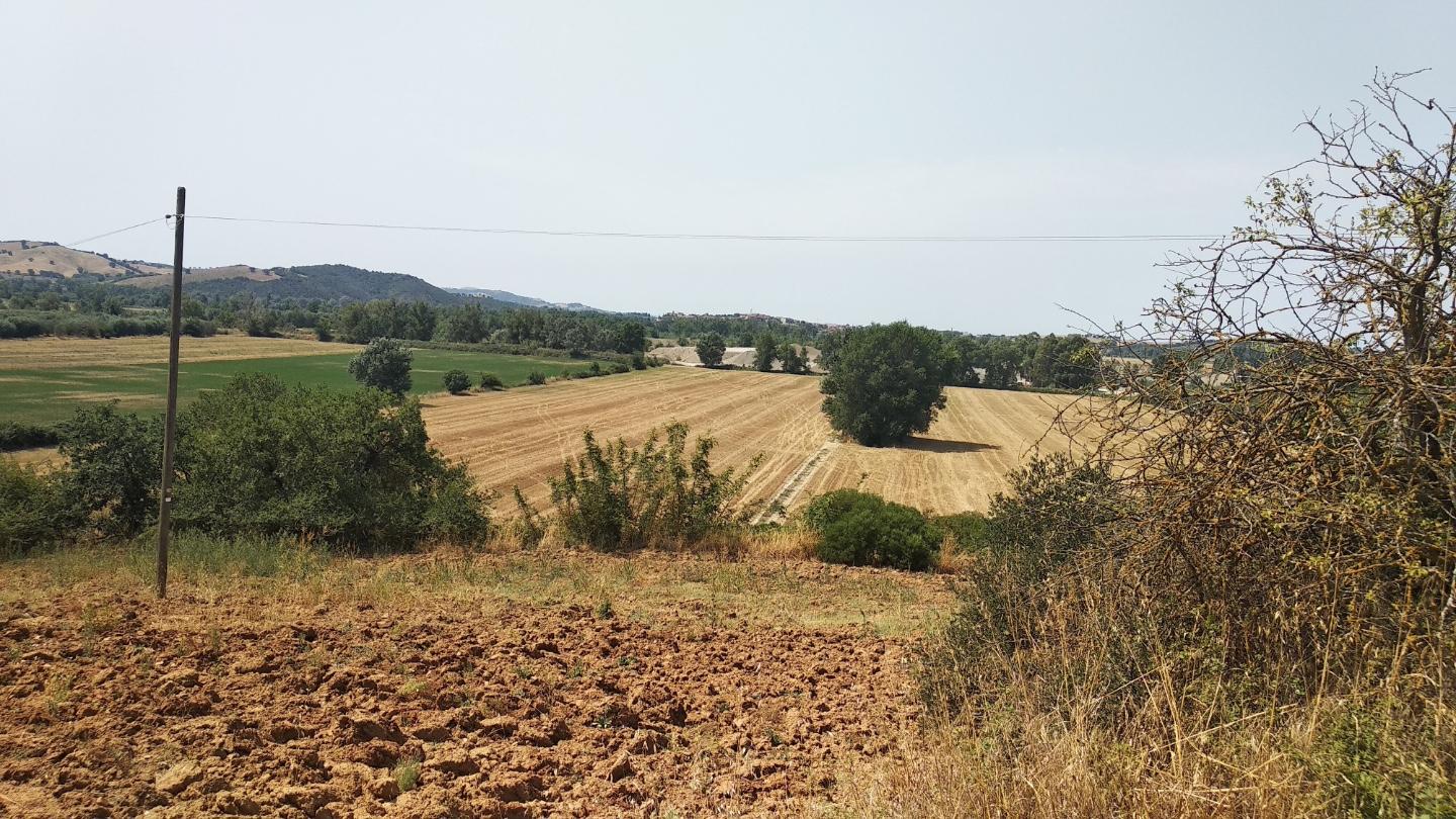 Attivit� commerciale in vendita, Grosseto istia d'ombrone