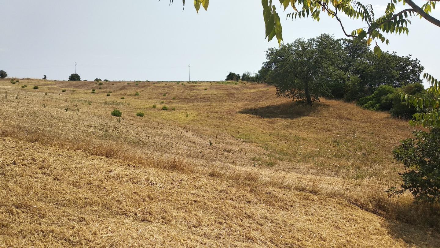 Attivit� commerciale in vendita, Grosseto istia d'ombrone