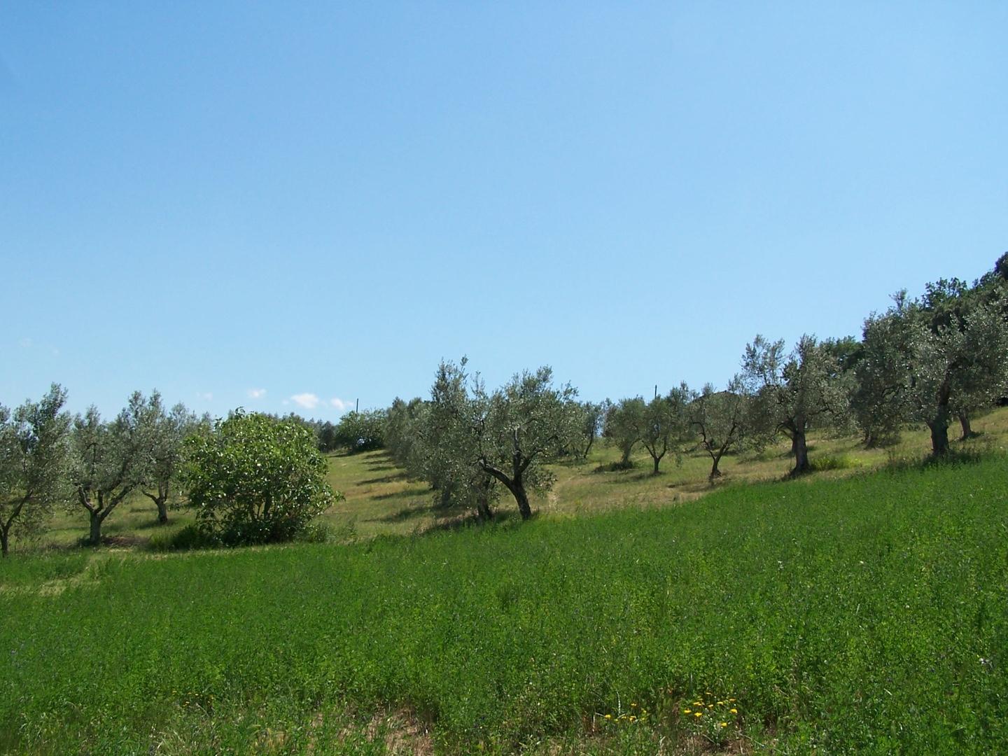 Casa indipendente con giardino, Roccastrada montemassi