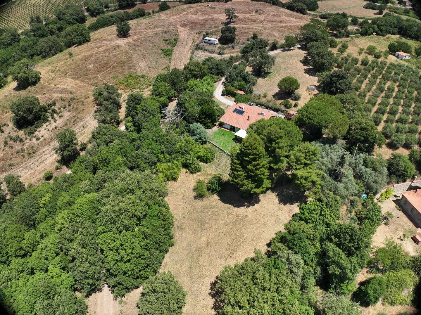 Villa con giardino a Scansano