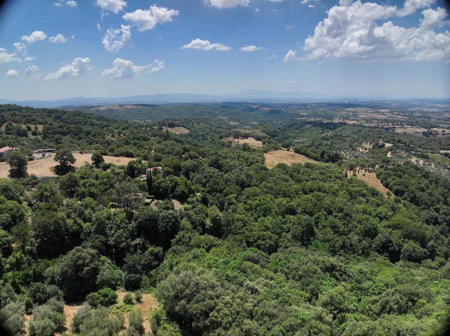 Villa con giardino a Scansano