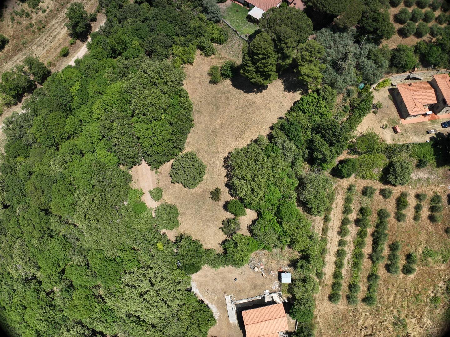 Villa con giardino a Scansano