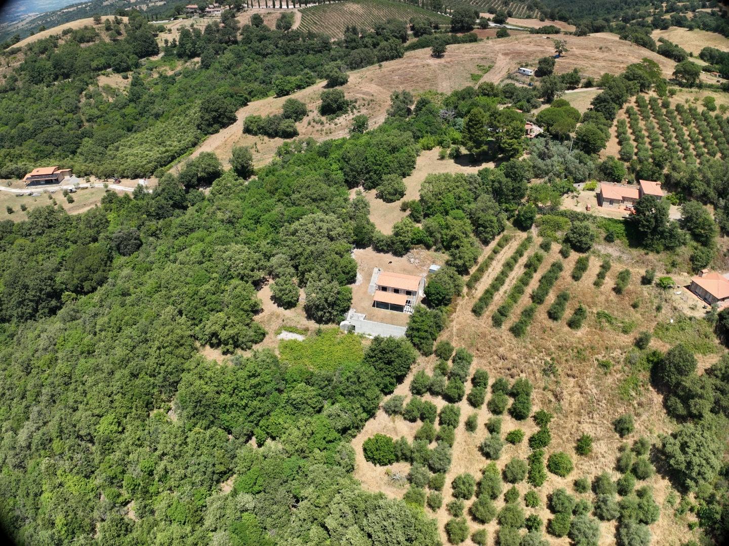 Villa con giardino a Scansano