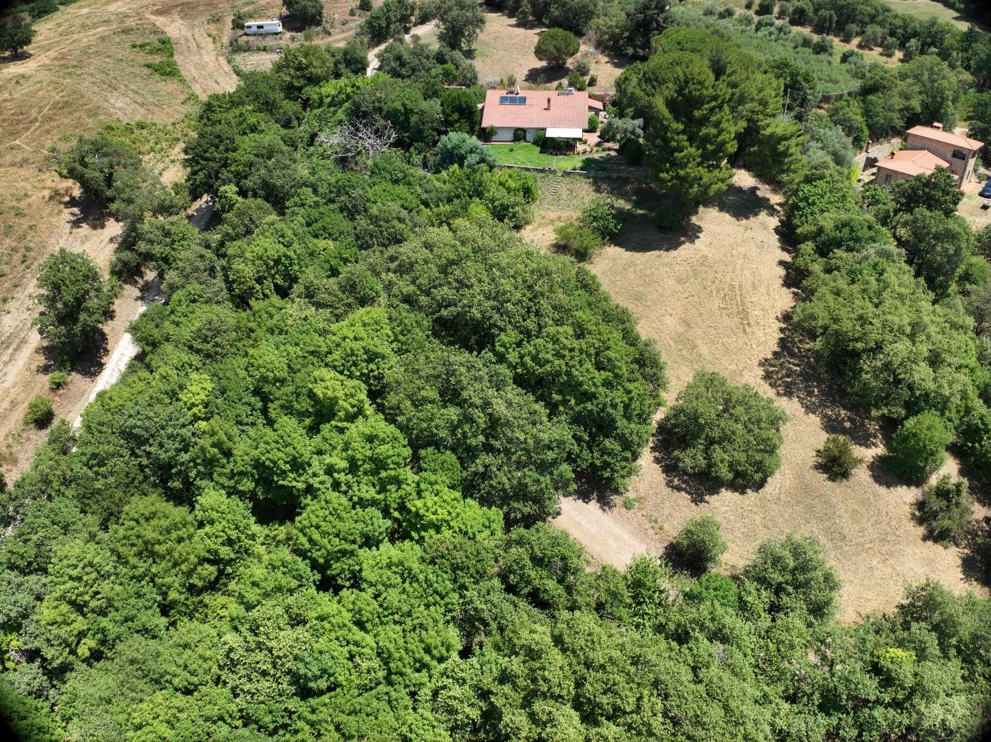 Villa con giardino a Scansano